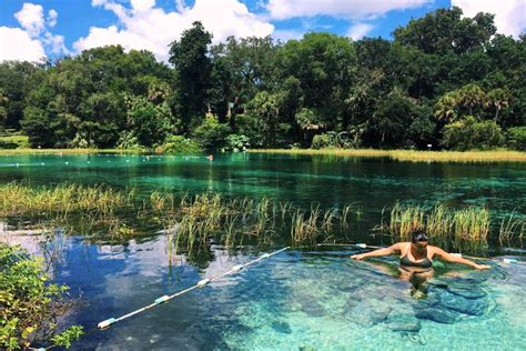 best swimming holes in florida|swimming holes near orlando fl.